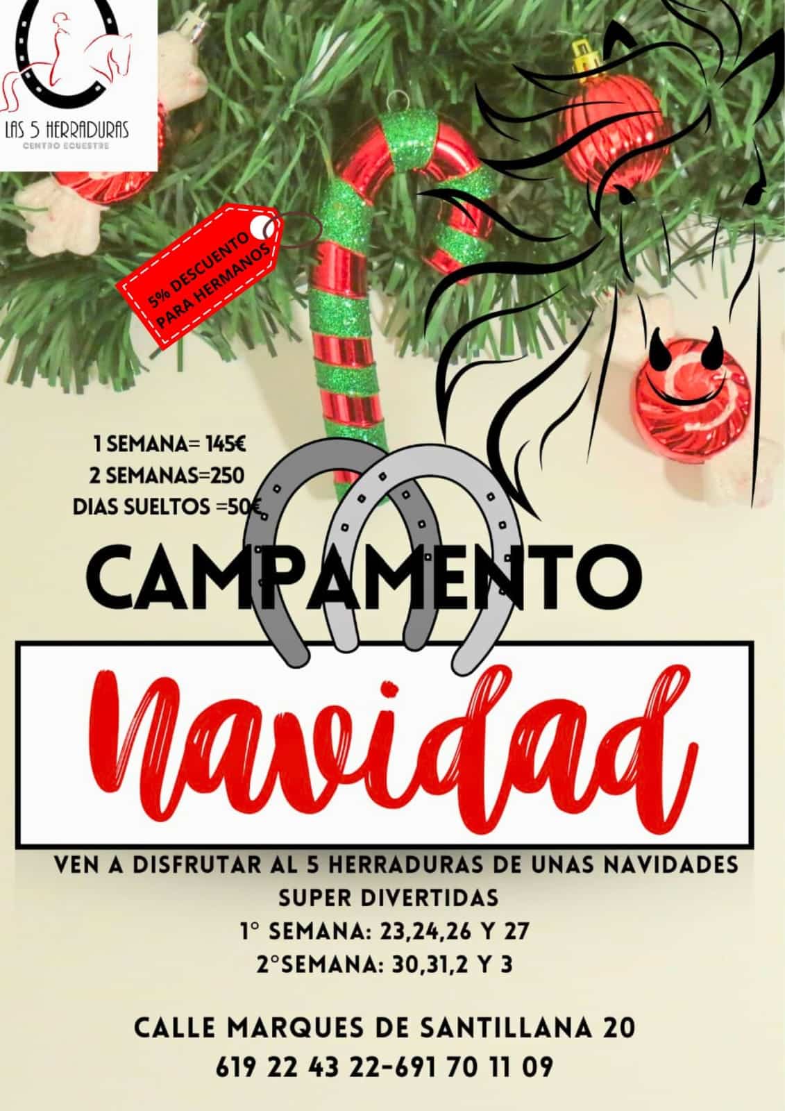 Campamento navidad 5herraduras