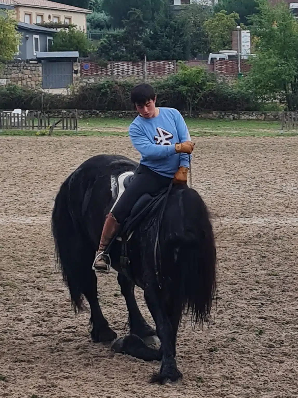 Domador de caballos