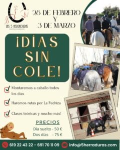DÍAS SIN COLE EN LA HIPICA